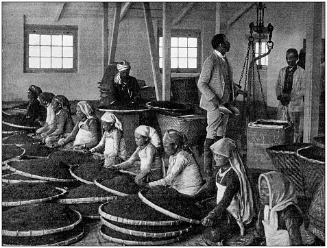 Historical photo of Lenama Hills Tea Factory Estate